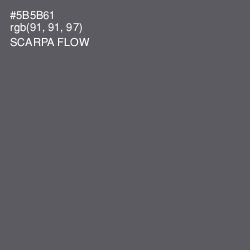 #5B5B61 - Scarpa Flow Color Image